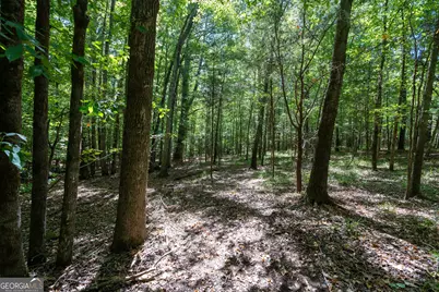 1419 Bobby Brown State Park Road, Elberton, GA 30635 - Photo 52