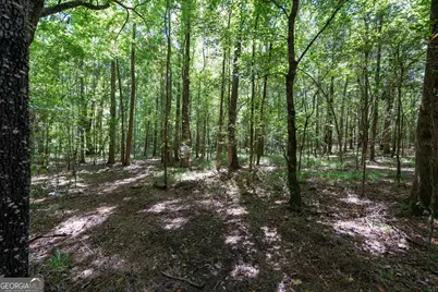 1419 Bobby Brown State Park Road, Elberton, GA 30635 - Photo 54