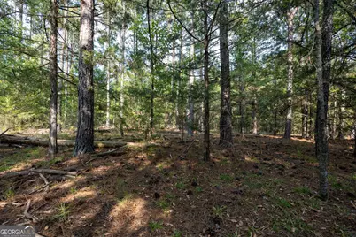 1419 Bobby Brown State Park Road, Elberton, GA 30635 - Photo 80