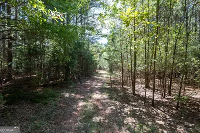 1419 Bobby Brown State Park Road, Elberton, GA 30635 - Photo 24