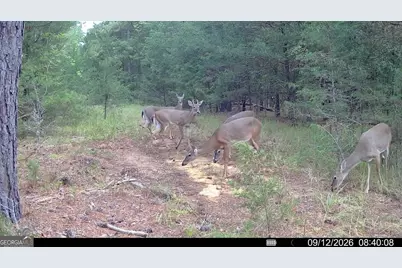 1419 Bobby Brown State Park Road, Elberton, GA 30635 - Photo 94