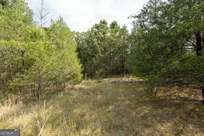 1419 Bobby Brown State Park Road, Elberton, GA 30635 - Photo 42