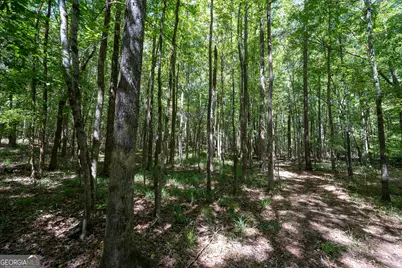 1419 Bobby Brown State Park Road, Elberton, GA 30635 - Photo 56