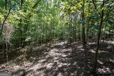 1419 Bobby Brown State Park Road, Elberton, GA 30635 - Photo 44
