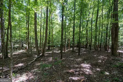 1419 Bobby Brown State Park Road, Elberton, GA 30635 - Photo 50