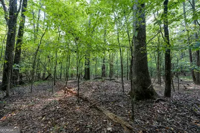 1419 Bobby Brown State Park Road, Elberton, GA 30635 - Photo 68