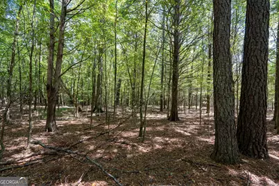 1419 Bobby Brown State Park Road, Elberton, GA 30635 - Photo 32
