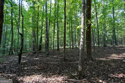 1419 Bobby Brown State Park Road, Elberton, GA 30635 - Photo 76