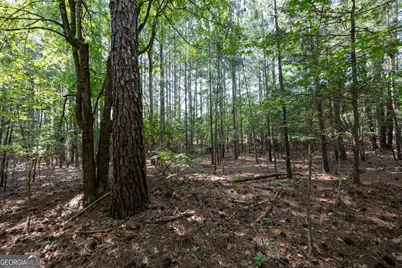 1419 Bobby Brown State Park Road, Elberton, GA 30635 - Photo 28