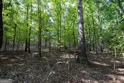 1419 Bobby Brown State Park Road, Elberton, GA 30635 - Photo 60