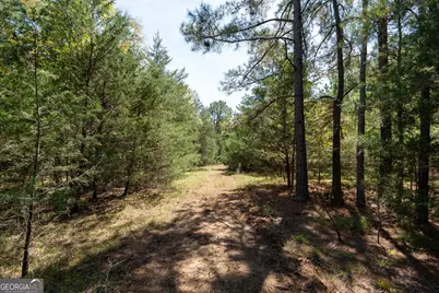 1419 Bobby Brown State Park Road, Elberton, GA 30635 - Photo 88