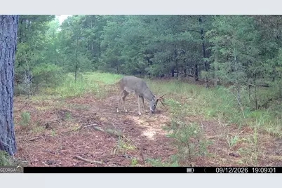 1419 Bobby Brown State Park Road, Elberton, GA 30635 - Photo 98