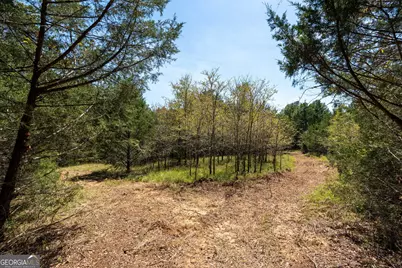 1419 Bobby Brown State Park Road, Elberton, GA 30635 - Photo 38