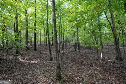 1419 Bobby Brown State Park Road, Elberton, GA 30635 - Photo 62