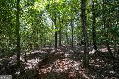 1419 Bobby Brown State Park Road, Elberton, GA 30635 - Photo 20