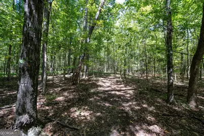 1419 Bobby Brown State Park Road, Elberton, GA 30635 - Photo 74
