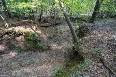 1419 Bobby Brown State Park Road, Elberton, GA 30635 - Photo 66