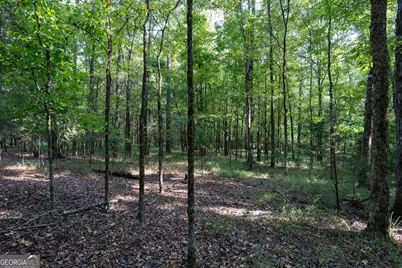 1419 Bobby Brown State Park Road, Elberton, GA 30635 - Photo 78