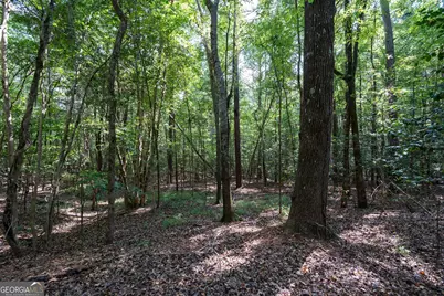 1419 Bobby Brown State Park Road, Elberton, GA 30635 - Photo 18
