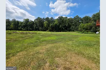 177 Bidne Drive, Senoia, GA 30276 - Photo 58