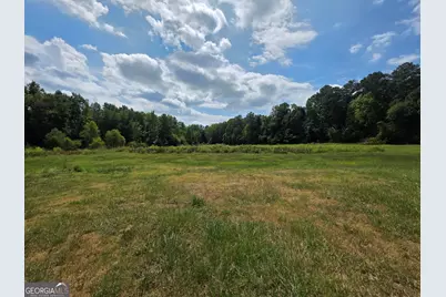 177 Bidne Drive, Senoia, GA 30276 - Photo 56