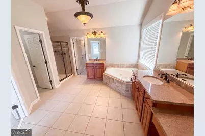 7047 Tree House Way, Flowery Branch, GA 30542 - Photo 40