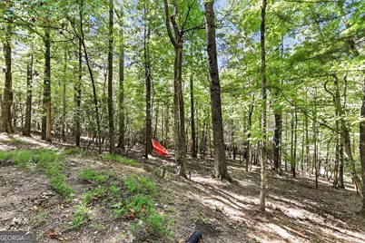 416 Woodland, Sautee Nacoochee, GA 30571 - Photo 8
