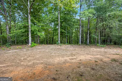 106 Hodges Farm Road, Mansfield, GA 30055 - Photo 52