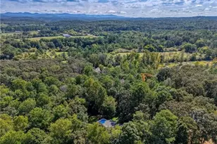 426 Jay Moss Ln, Talking Rock, GA 30175 - Photo 104