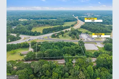 1650 Athens Highway #TRACT 2, Madison, GA 30650 - Photo 2