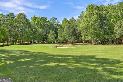 67 Redlevel Walk, Newnan, GA 30265 - Photo 60