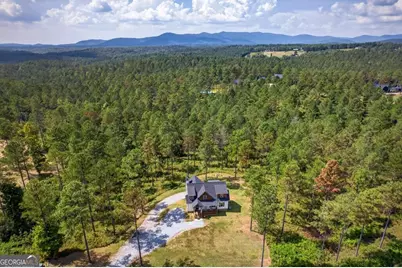 1068 High River Road #90, Ellijay, GA 30540 - Photo 10