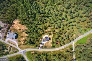 1068 High River Rd, Ellijay, GA 30540 - Photo 8