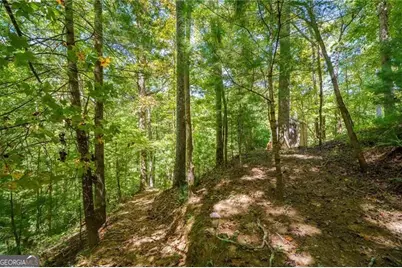 1275 Marie Drive, Ellijay, GA 30540 - Photo 24