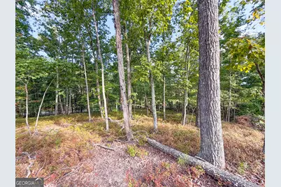 334 Lefevers Road, Cedartown, GA 30125 - Photo 30