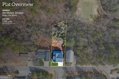 364 Rosen Strasse, Helen, GA 30545 - Photo 46