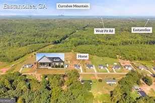 1177 Dortch Rd, Eastanollee, GA 30538 - Photo 34