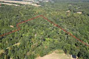 425 Vineyards Creek Church Rd, Comer, GA 30629 - Photo 68