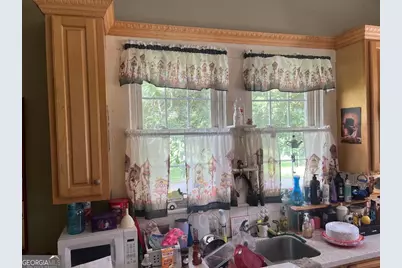 424 Lagrange Street, Greenville, GA 30222 - Photo 2