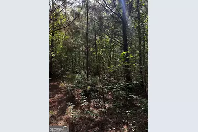 782 Sparta Highway, Eatonton, GA 31024 - Photo 6