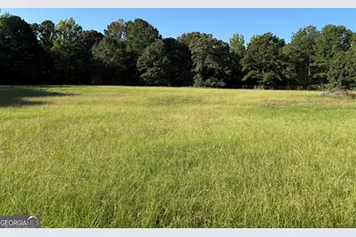 1311 Copeland Road, Shiloh, GA 31826 - Photo 70