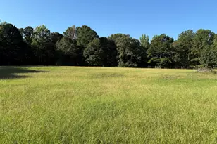 1311 Copeland Rd, Shiloh, GA 31826 - Photo 70