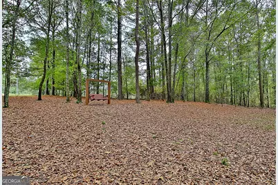 1311 Copeland Road, Shiloh, GA 31826 - Photo 74