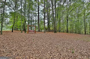 1311 Copeland Rd, Shiloh, GA 31826 - Photo 74
