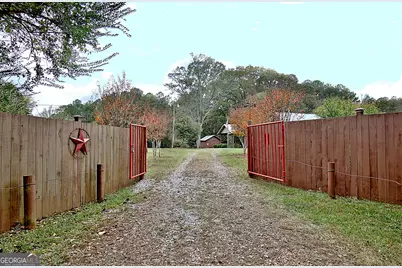 1311 Copeland Road, Shiloh, GA 31826 - Photo 2