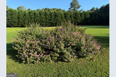 1311 Copeland Road, Shiloh, GA 31826 - Photo 78