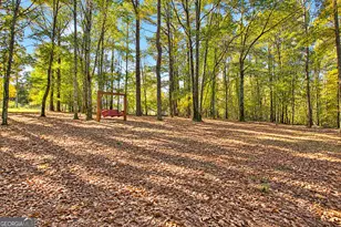 1311 Copeland Rd, Shiloh, GA 31826 - Photo 56