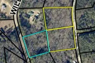 0 Williams Bridge Rd, Toccoa, GA 30577 - Photo 1