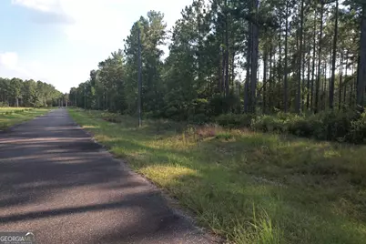 0 Regina Drive, Dublin, GA 31021 - Photo 6