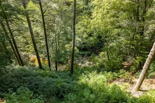 488 Whispering Pne Ln, Cherrylog, GA 30522 - Photo 56